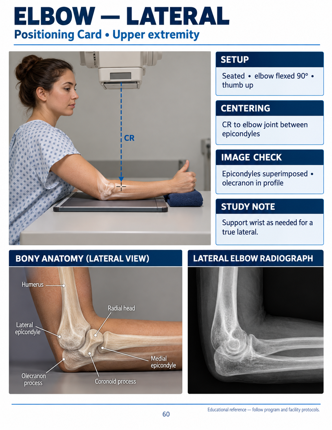 Preview of the Radiography Student Visual Guide